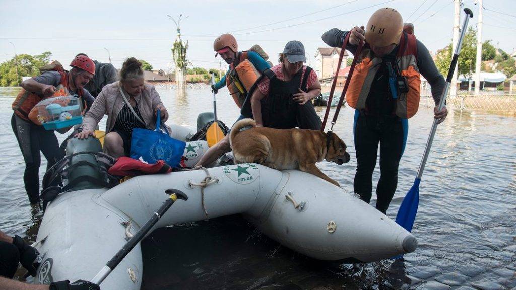 Франківські волонтери поїдуть у Херсон рятувати тварин: як допомогти