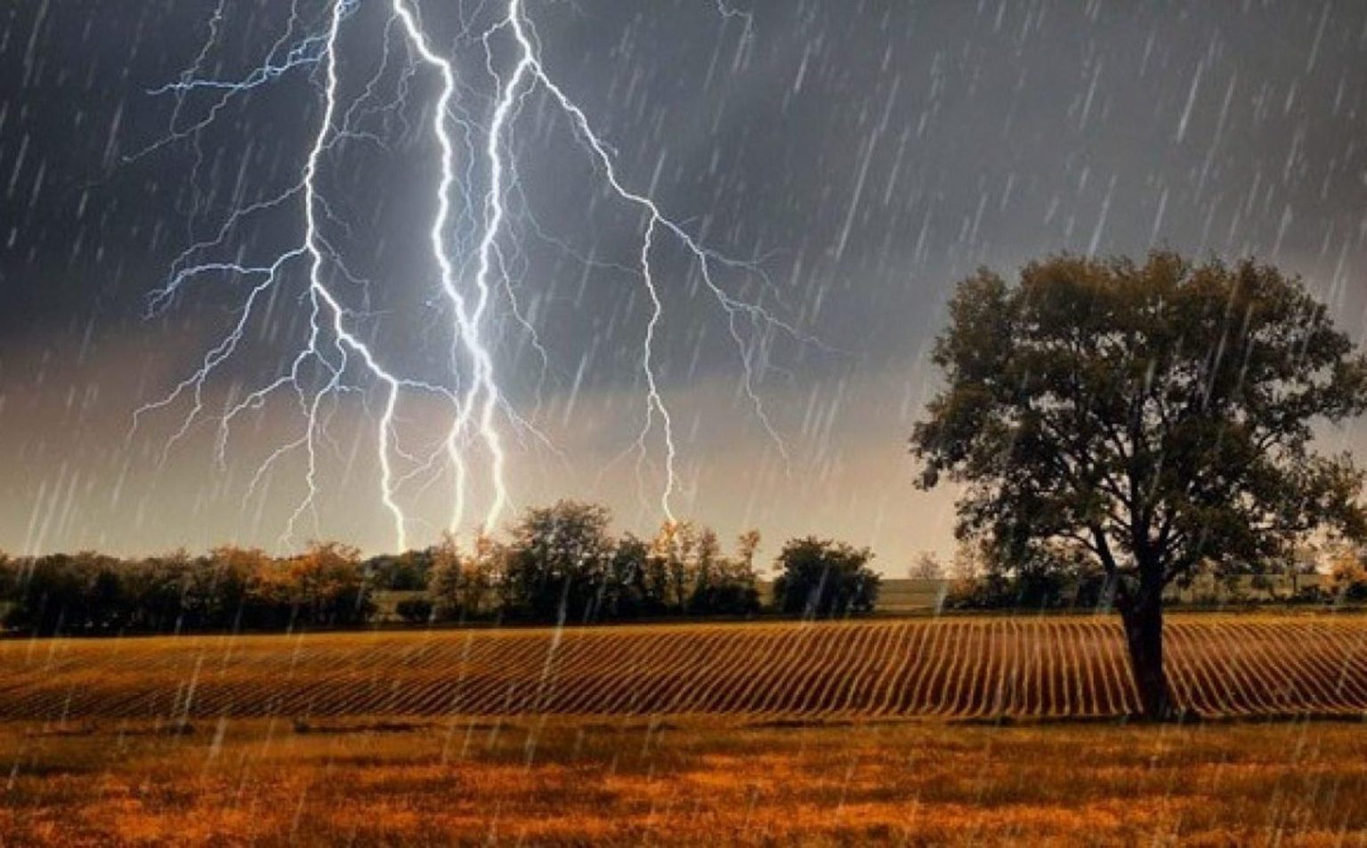 Прикарпатців попереджають про грози та град