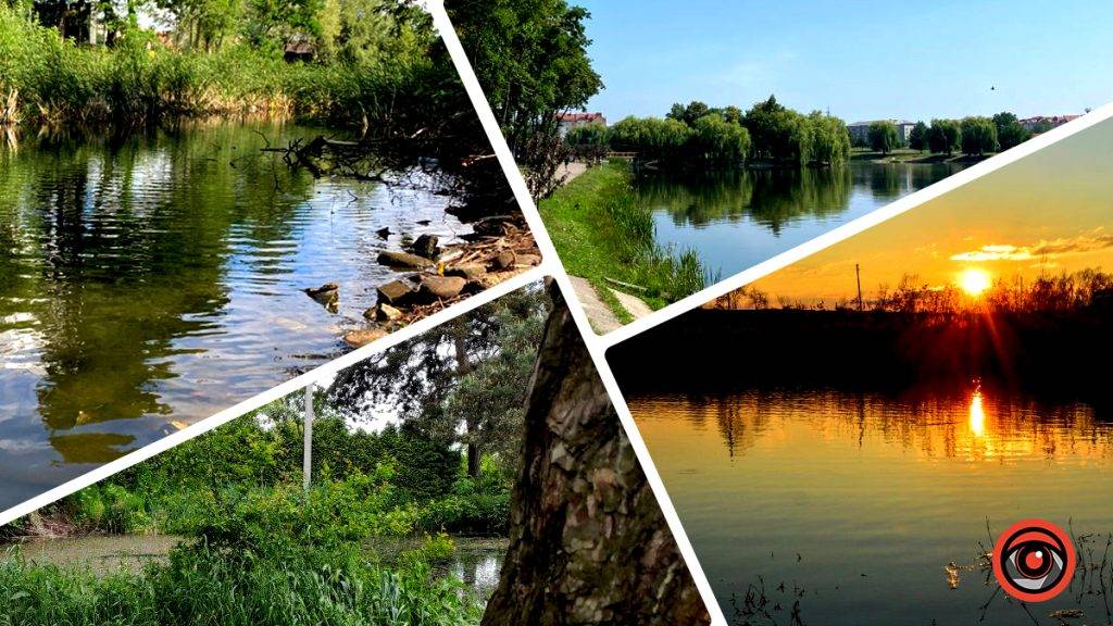 Ближче до води: добірка озер у Коломиї, де можна помилуватися природою