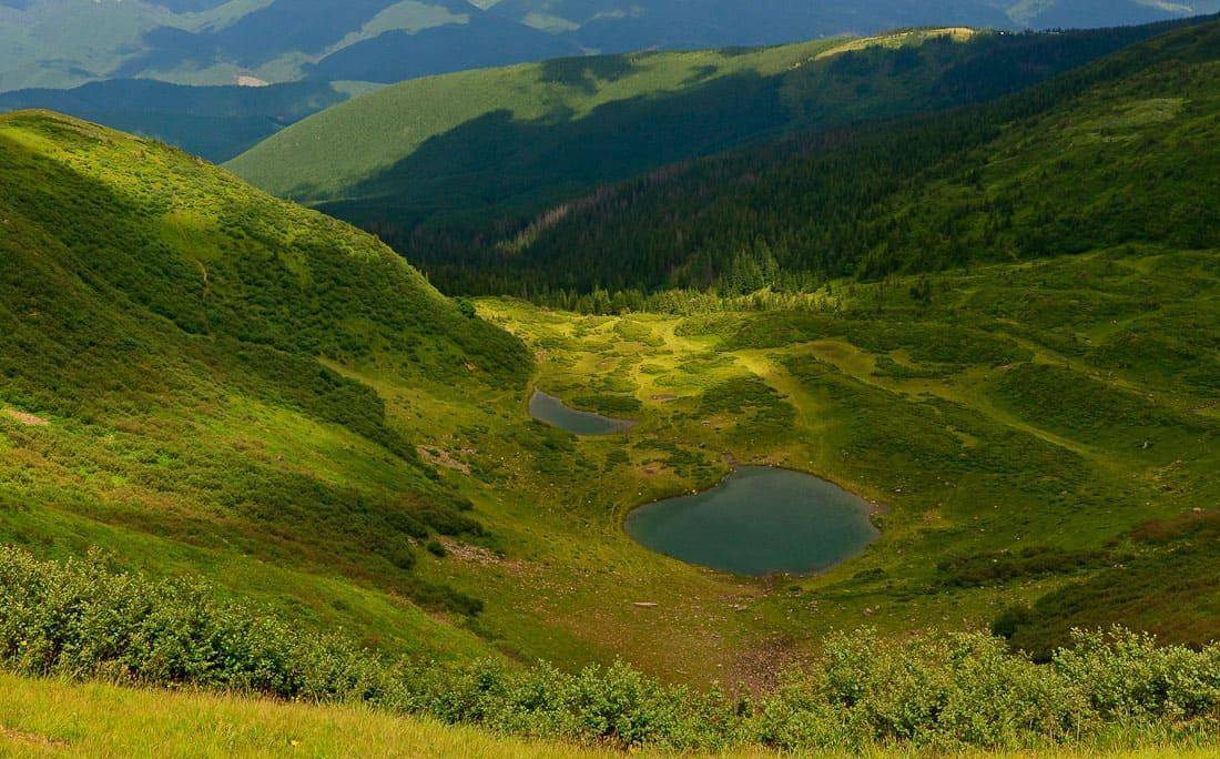 Будівництво курорту «Свидовець» блокують місцеві лісоруби, використовуючи екоактивістів (РОЗСЛІДУВАННЯ)