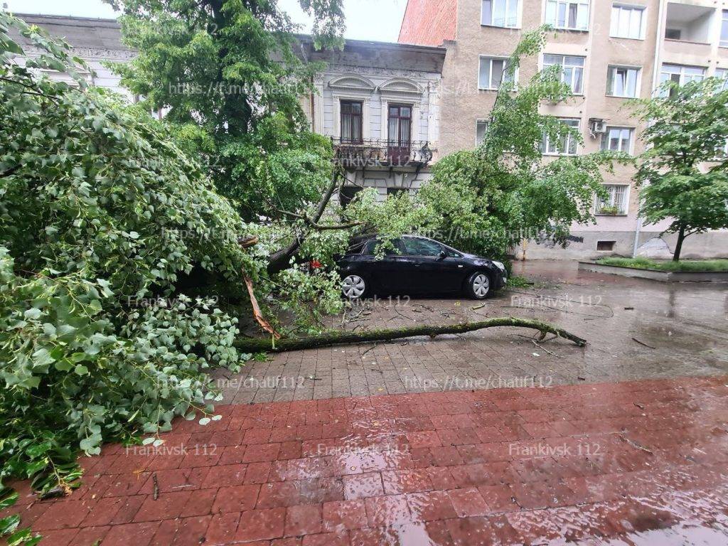 На вулиці Шевченка впало дерево - пошкоджені припарковані автомобілі. ФОТО