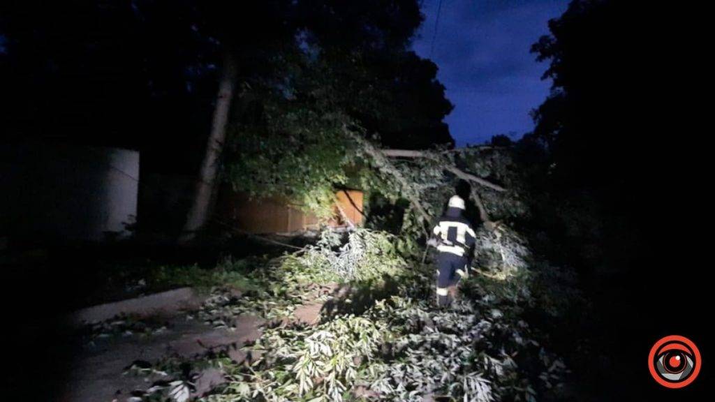 Внаслідок негоди у Коломиї впало дерево: на місці працювали рятувальники