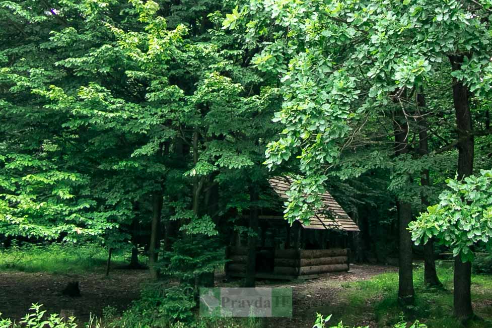 Альтанки для релаксу на природі біля Франківська