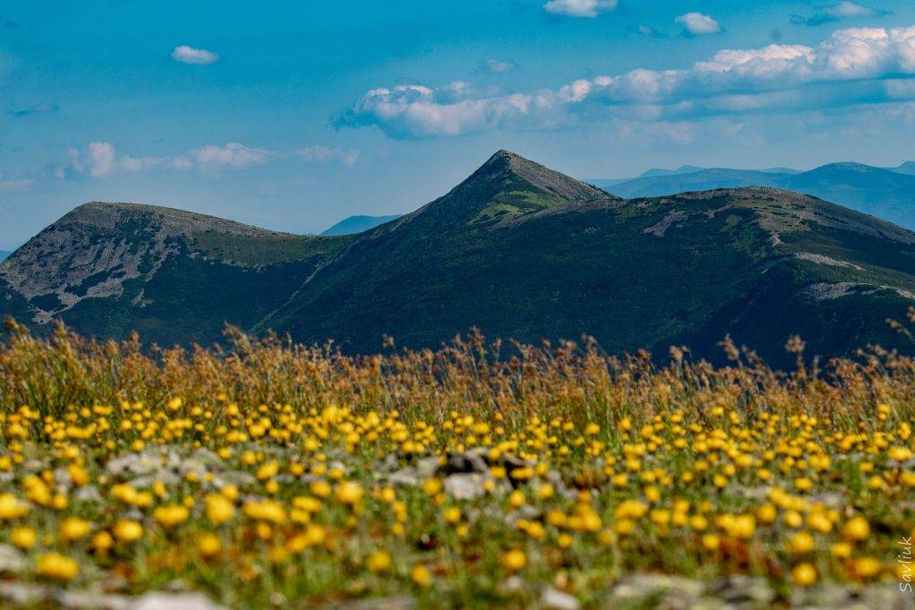 Якою буде погода на Івано-Франківщині у понеділок, 17 липня