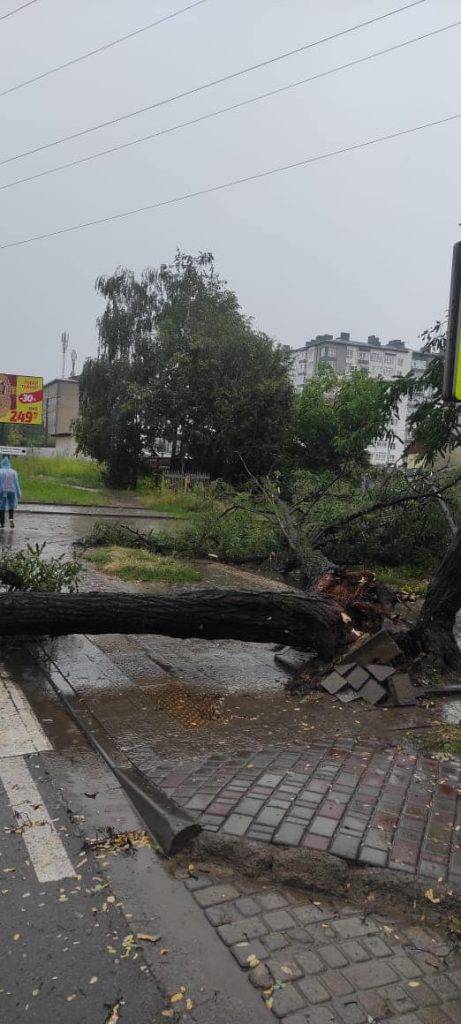 На Івано-Франківщині вирувала негода: підтопило будинки, повалило дерева