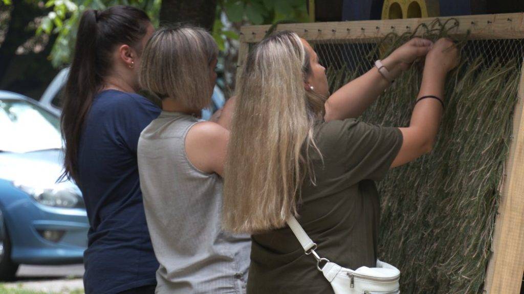 У дворі Франківська жінки плетуть "кікімори" для українських бійців