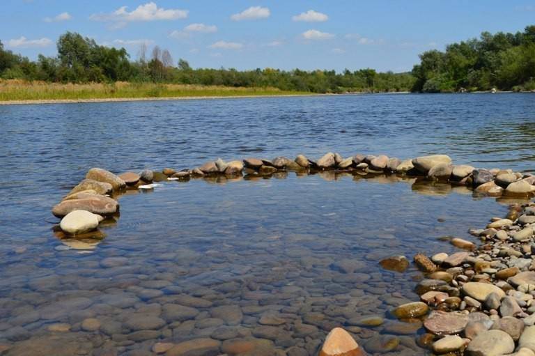 У Лімниці виявили кишкову паличку