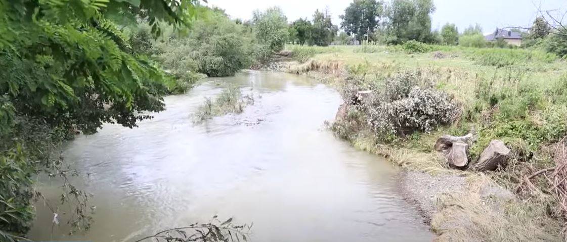 На Коломийщині чоловік рятував курей від повені, але втопився сам