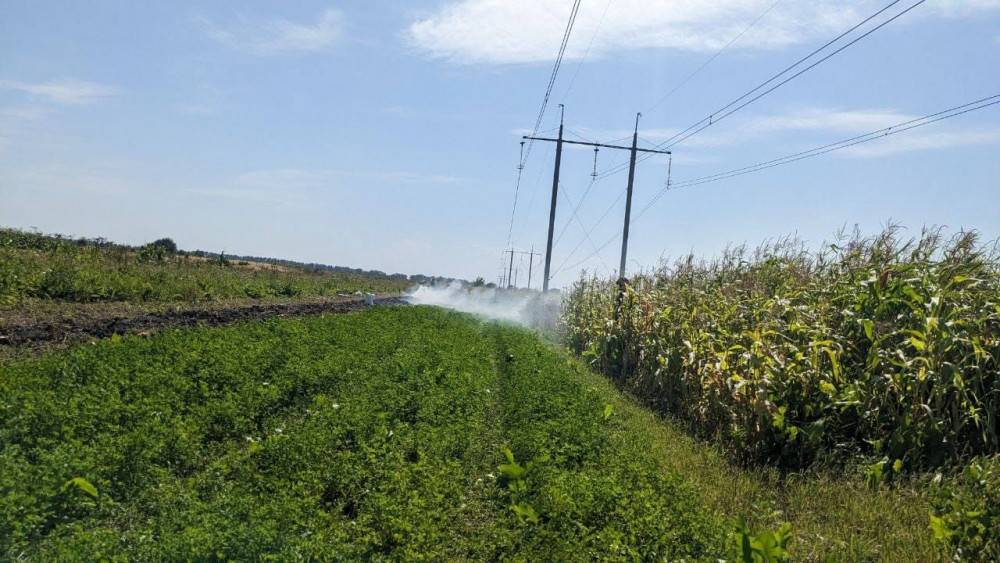 У селах Івано-Франківської громади спіймали 8 паліїв сухої трави