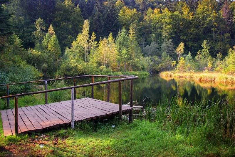 Піші туристичні маршрути у Карпатах, які можна пройти за день