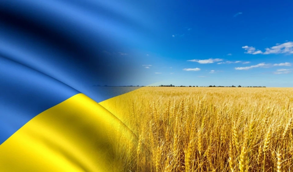 Як у Франківську відзначатимуть День Незалежності України. ПРОГРАМА