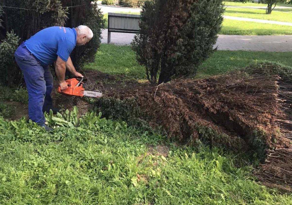 Люди навіть у час війни мають жити в нормальних умовах: Марцінків про благоустрій у Франківську