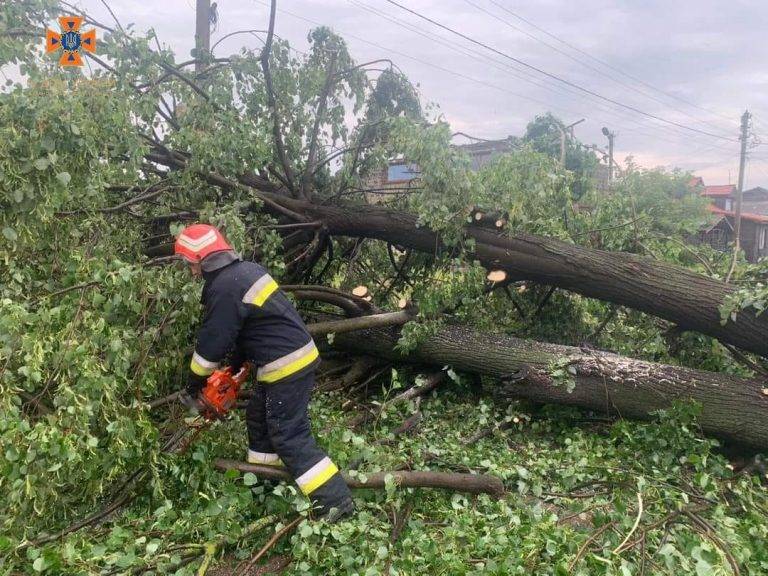 Повалені дерева та пошкоджені лінії електропередач: у Коломиї ліквідовують наслідки негоди