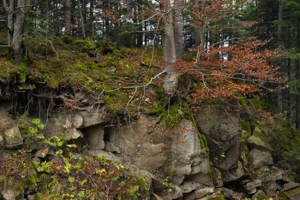 Піші туристичні маршрути у Карпатах, які можна пройти за день