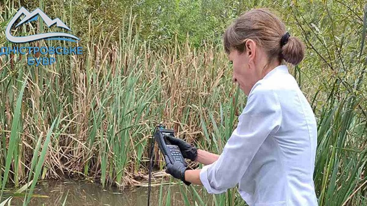 У річці на Тлумаччині виявили забруднення води