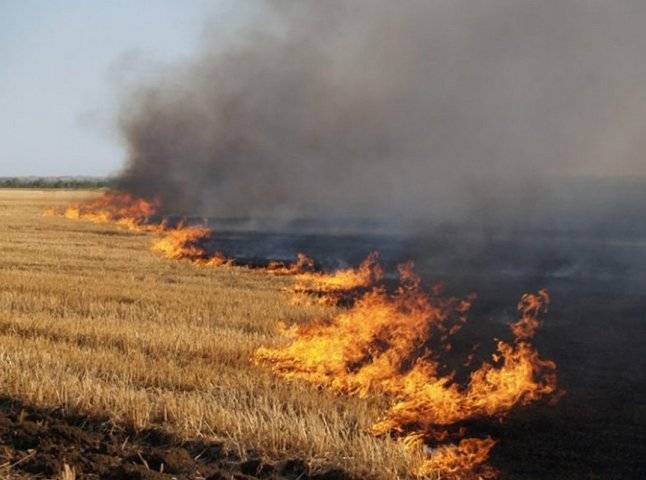 Від початку року на Прикарпатті зафіксували понад 34 гектари випаленої землі