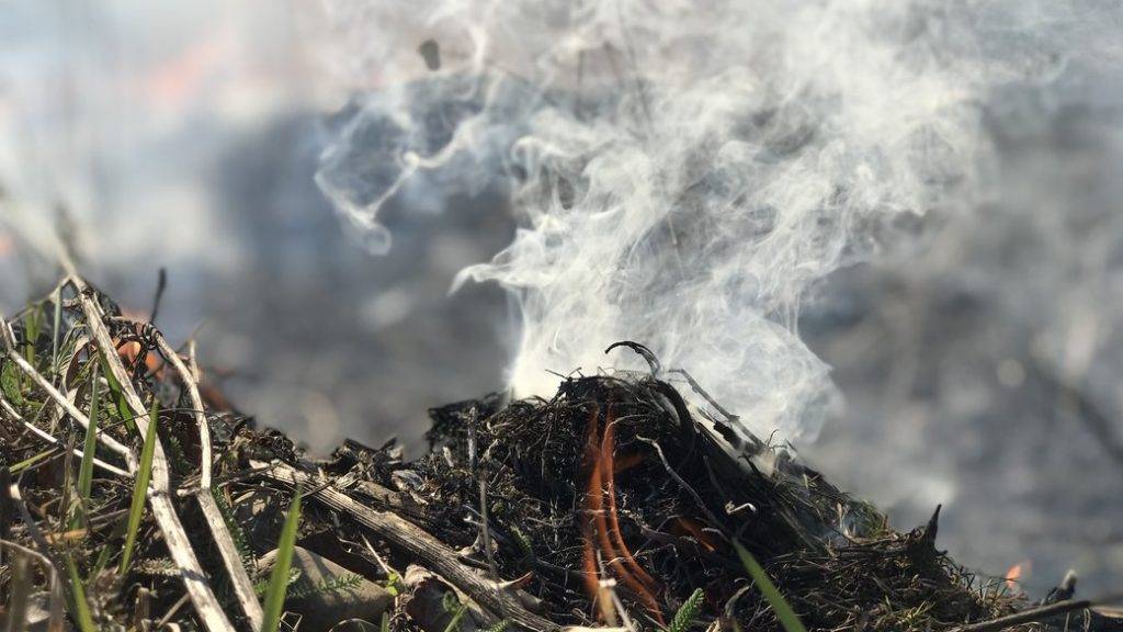 На Івано-Франківщині попереджають про високу пожежну небезпеку