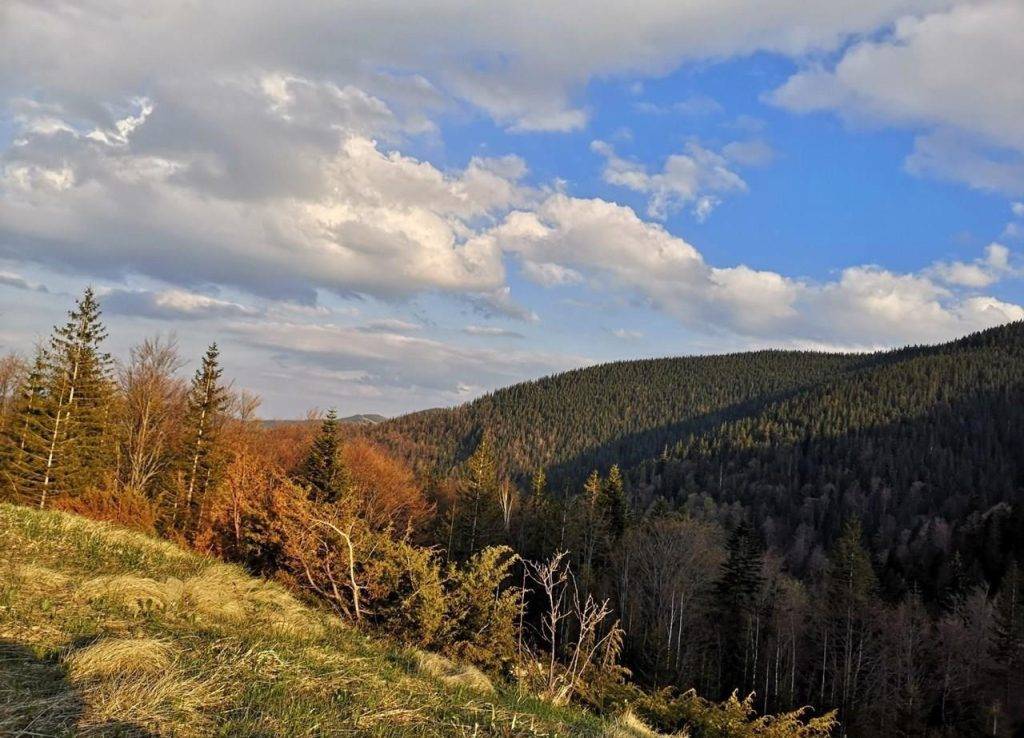 В Карпатах травмувалась туристка з Тернополя. ФОТО