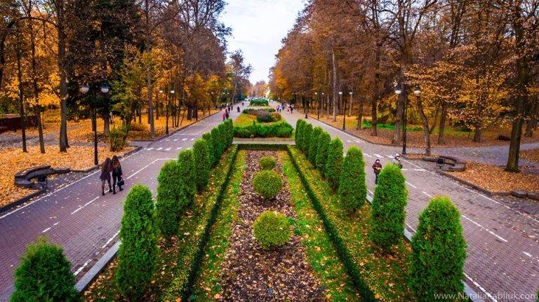 Якою буде погода в Івано-Франківську та області у п'ятницю, 13 жовтня