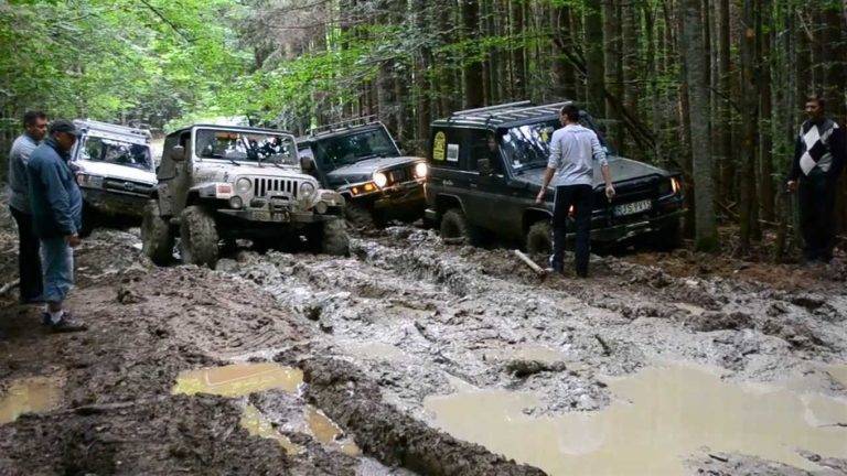 В Україні нарешті вирішили "взятися" за джипи в Карпатах