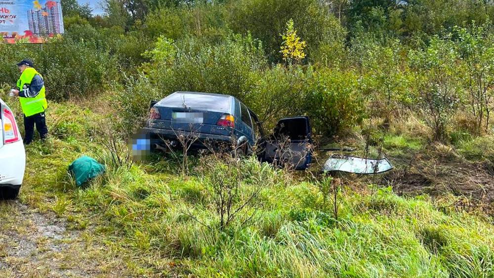 На Прикарпатті у ДТП загинула 11-річна дівчинка. ФОТО