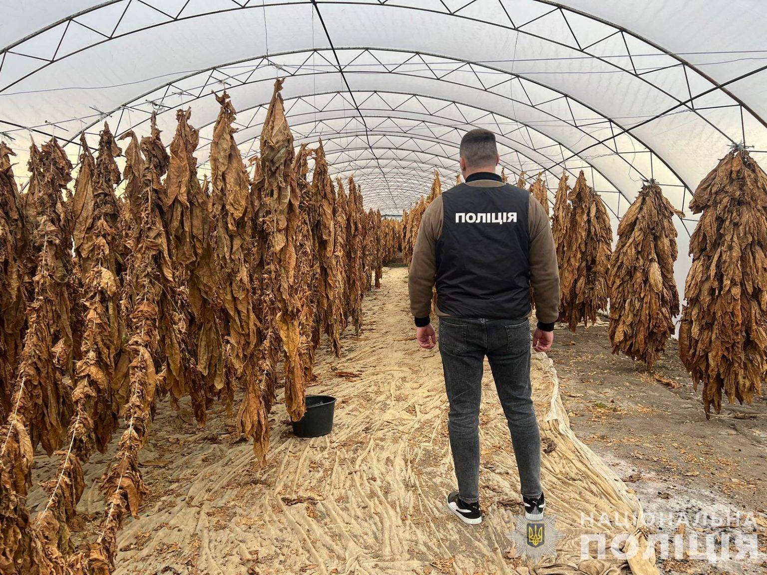 На Прикарпатті викрили незаконні тютюнові цехи. ФОТО