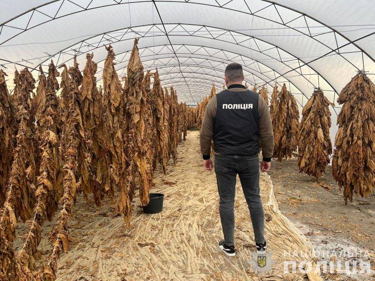 На Прикарпатті викрили незаконні тютюнові цехи. ФОТО