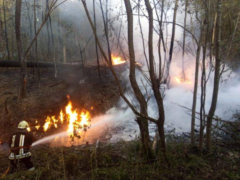 Поліція розпочала розслідування вчорашньої надзвичайної події у Стримбі