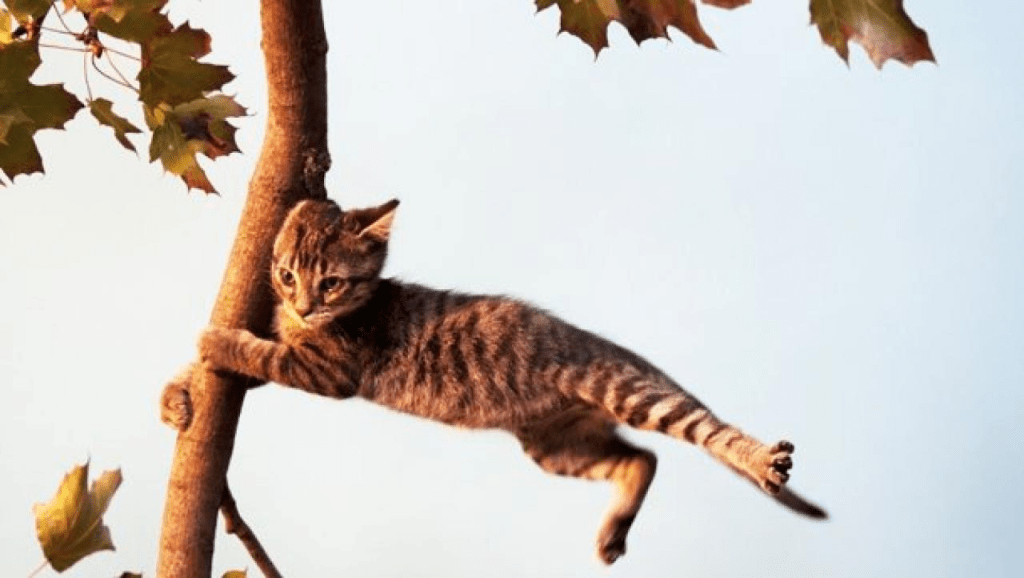 Сьогодні на Франківщині буде вітряно та мокро