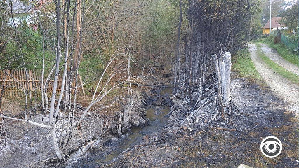 Фахівці дослідили якість повітря та води у Стримбі після вибуху на нафропроводі