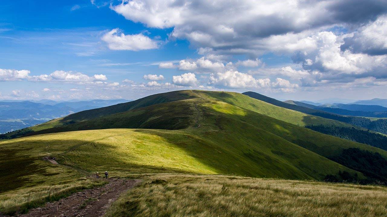 500-річні ліси і чорничні галявини: чим дивує найдовша полонина Карпат