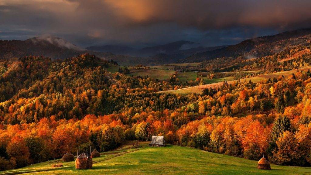 ТОП-5 туристичних місць у Карпатах, які варто відвідати восени