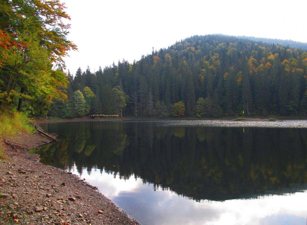 Як виглядає карпатське озеро Синевир восени: фото, які вражають своєю красою