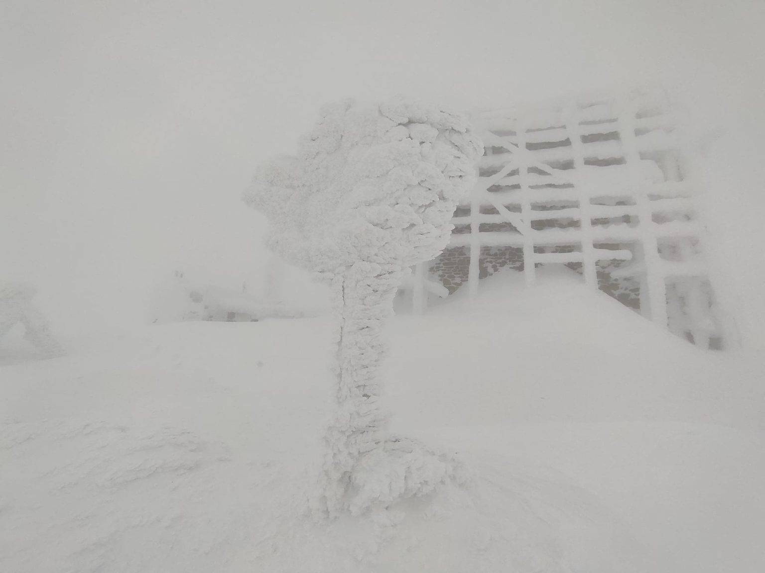 На горі Піп Іван у Карпатах туман і 10-градусний мороз