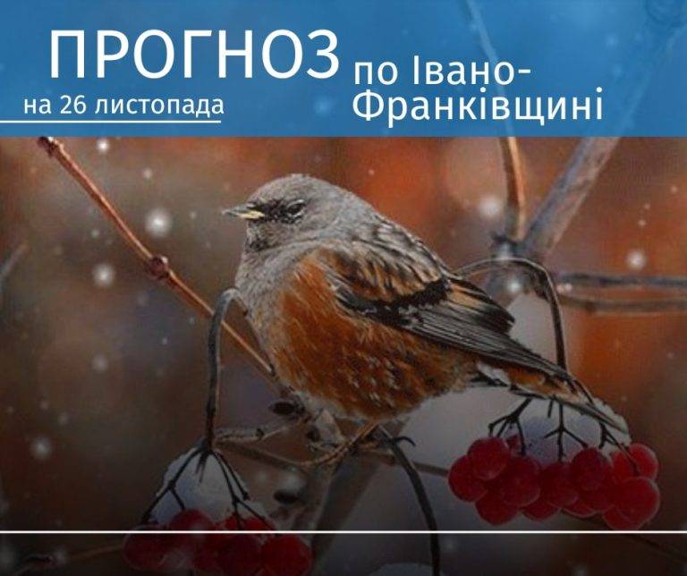 Стало відомо, якою буде погода 26 листопада на Прикарпатті