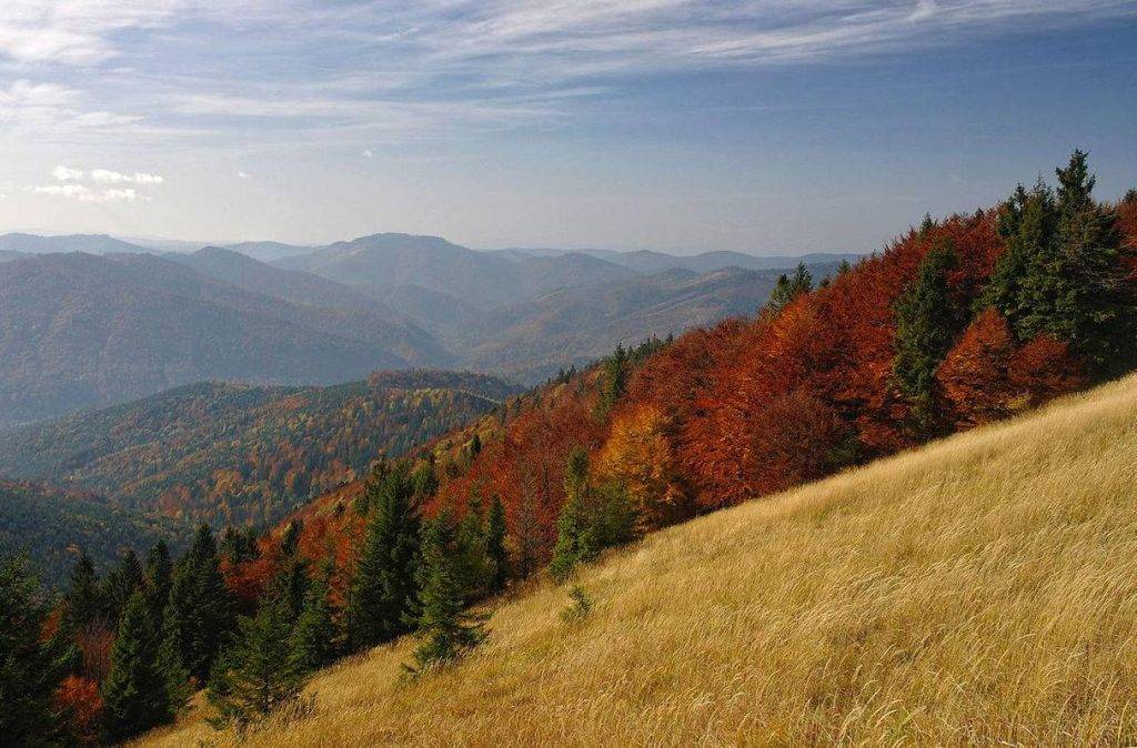 У Карпатах прокурор-власник відпочинкового комплексу перекрив комунальну дорогу