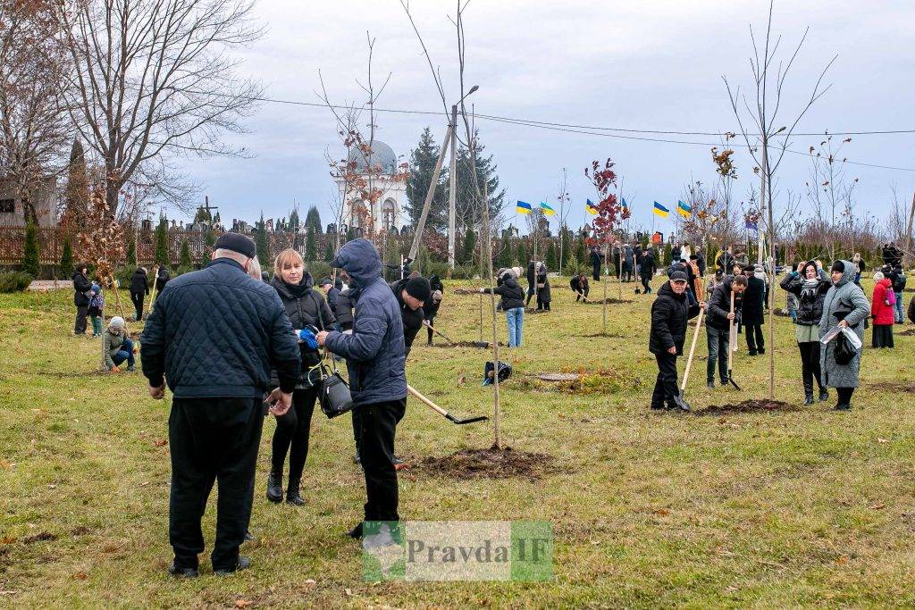 У Франківську в пам'ять про загиблих на війні висадили 163 дерева. ФОТО