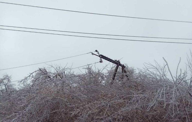 Через посилення вітру на Прикарпатті аварійні знеструмлення