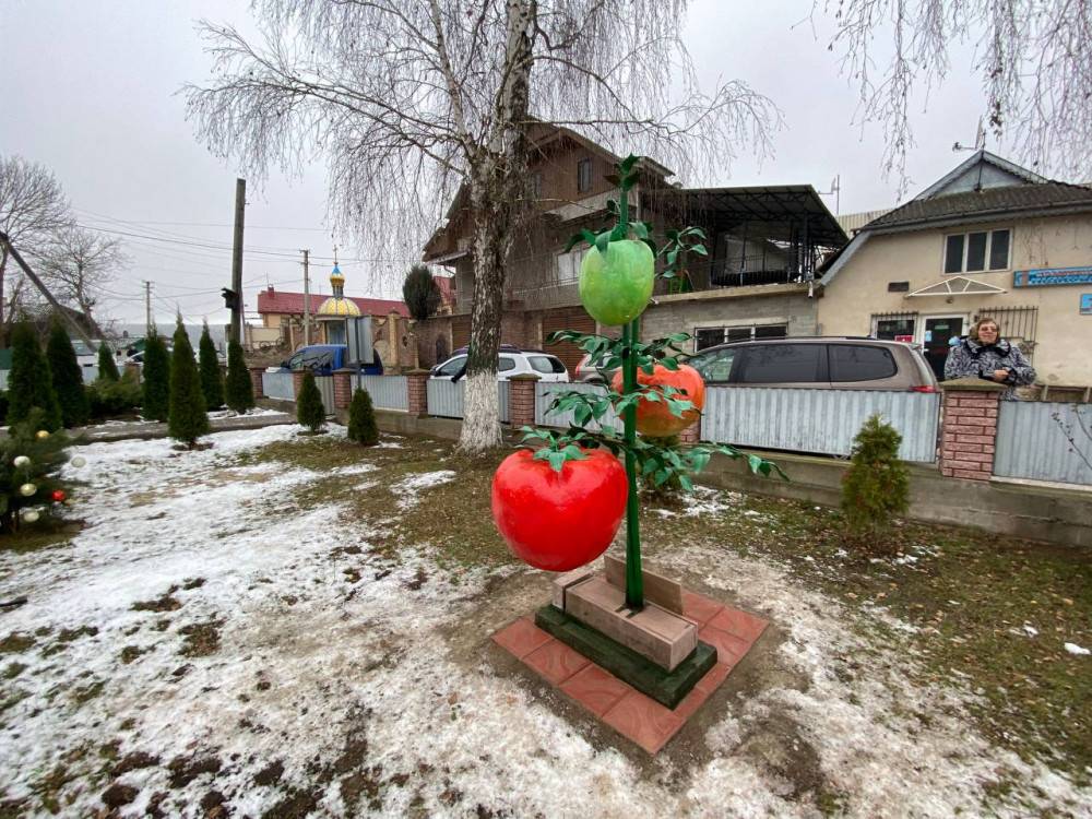 У селі Городниця на Прикарпатті відкрили пам'ятник помідору. ФОТО