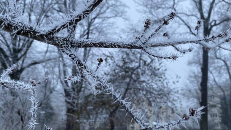 Яку погоду прогнозують на Івано-Франківщині у четвер, 21 грудня