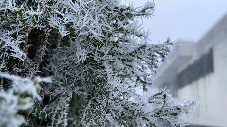 Якою буде погода на Івано-Франківщині 13 грудня