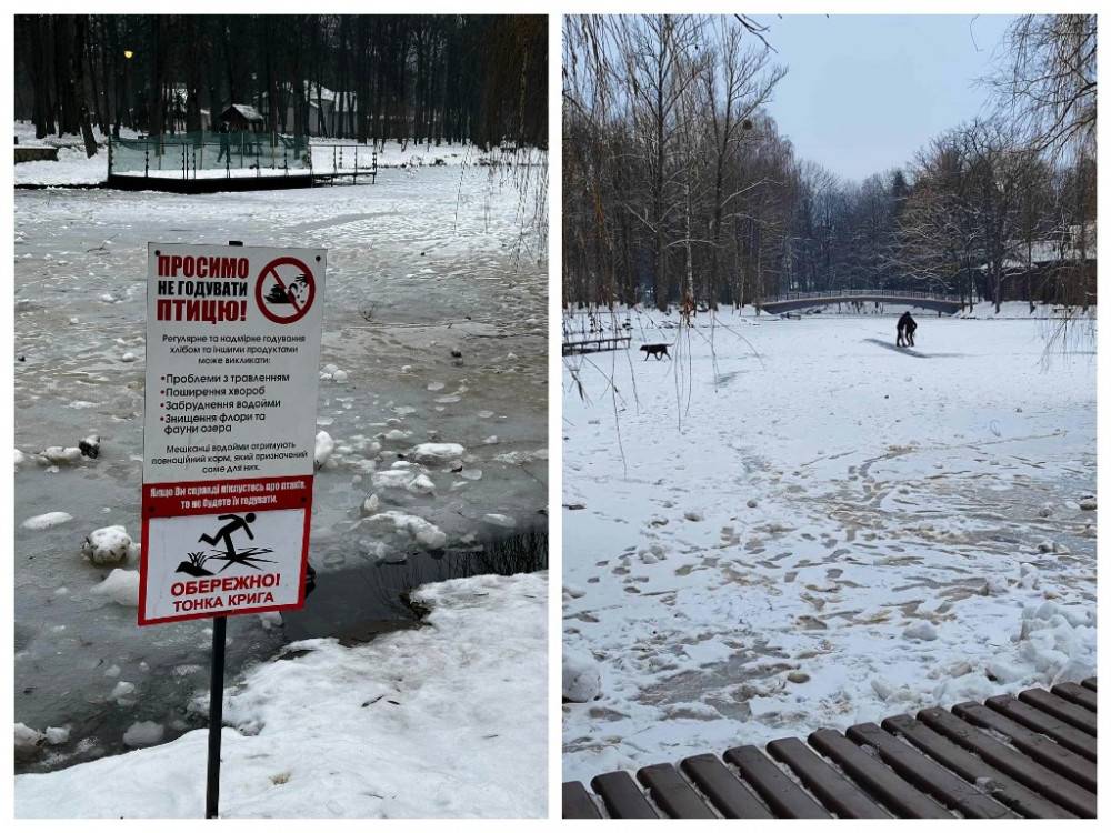 Мешканців Франківська застерігають не виходити на тонку кригу озера в міському парку