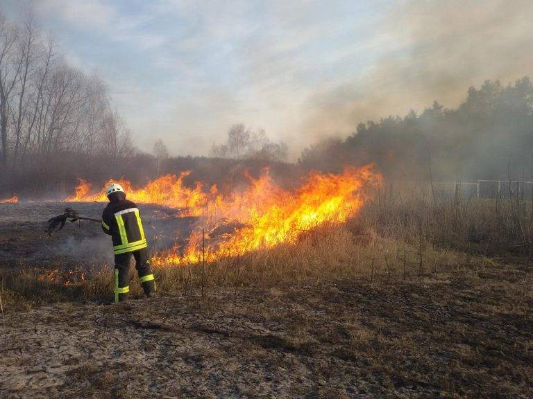 У новому році прикарпатські рятувальники ліквідували 10 пожеж сухостою