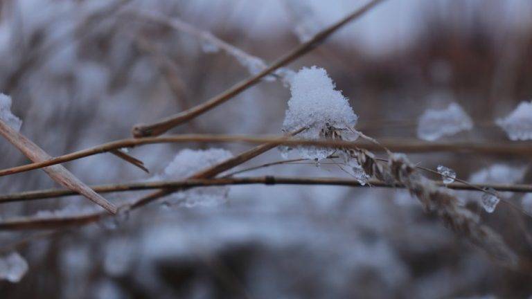 Якою буде погода на Івано-Франківщині у п'ятницю, 12 січня