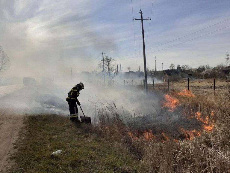 На Калущині за три дні нового року загасили 5 пожеж сухої трави