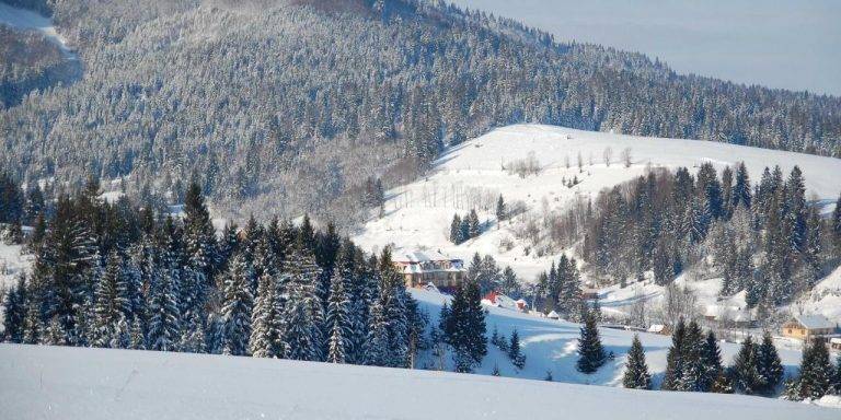 У Карпатах викрили незареєстрований готельний комплекс