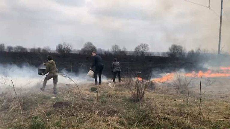 Через пожежу сухої трави на Прикарпатті могли загинути 170 тварин з "Дому Сірка" ВІДЕО