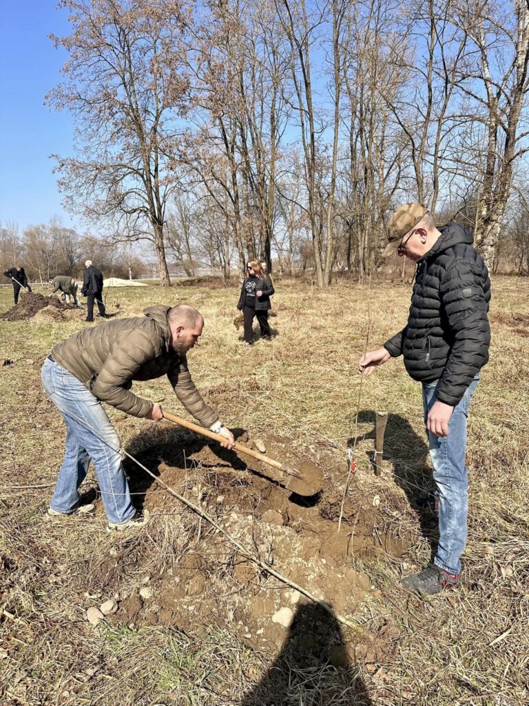 На Алеї Добровольців в Коломиї висадили молоді дерева ФОТО