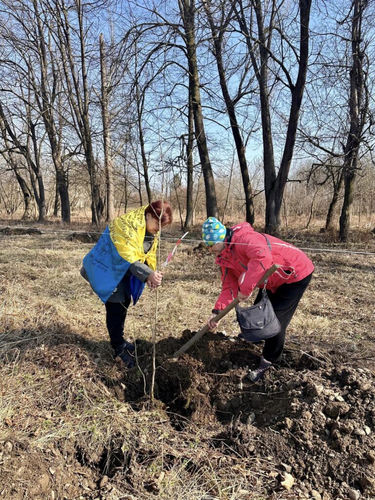 На Алеї Добровольців в Коломиї висадили молоді дерева ФОТО