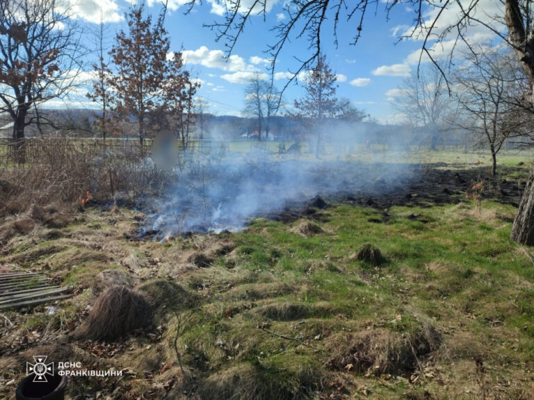 На Франківщині спіймали палія сухостою, через якого ледь не згорів будинок